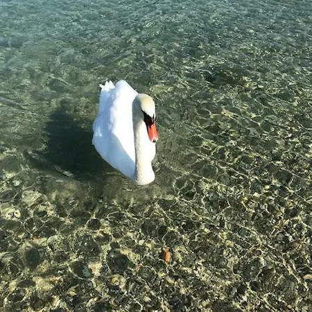 公寓 Small Joy On The Lake *